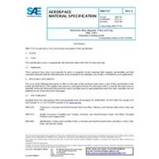 SAE AMS7717E SAE AMS7717E