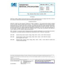 SAE AMSWWT700/6C