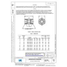 SAE AS21902D SAE AS21902D