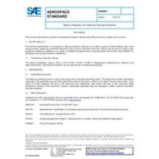 SAE AS60491 SAE AS60491