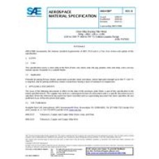 SAE AMS4788B SAE AMS4788B