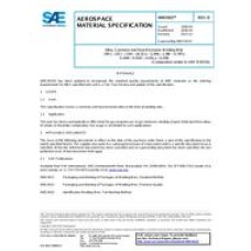 SAE AMS5831D SAE AMS5831D