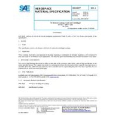 SAE AMS4845J SAE AMS4845J