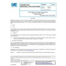 SAE AMS6907B SAE AMS6907B