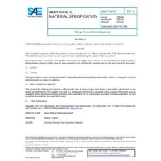 SAE AMSP81728B SAE AMSP81728B