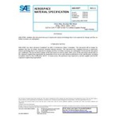 SAE AMS4769G SAE AMS4769G