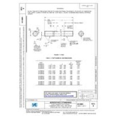 SAE AS3089B SAE AS3089B