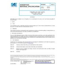 SAE AMS5894D SAE AMS5894D