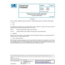 SAE AS7454B SAE AS7454B