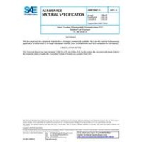 SAE AMS7284/2A SAE AMS7284/2A