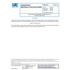SAE AMS7284B SAE AMS7284B