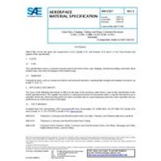 SAE AMS5718E SAE AMS5718E