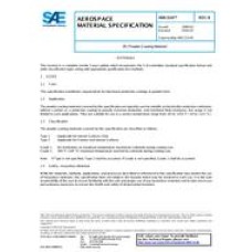 SAE AMS3143B SAE AMS3143B