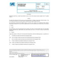 SAE AS81021B SAE AS81021B