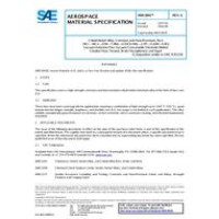 SAE AMS5843G