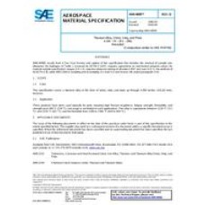 SAE AMS4899D SAE AMS4899D