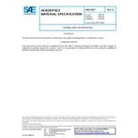SAE AMS3796B