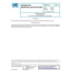 SAE AMS3718/4B SAE AMS3718/4B