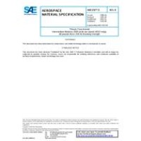 SAE AMS3787/5B