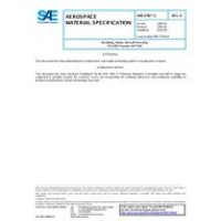 SAE AMS3796/1B