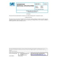 SAE AMS3796/1B SAE AMS3796/1B