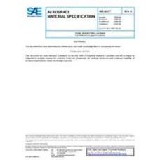 SAE AMS3813B SAE AMS3813B