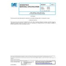 SAE AMS3804E SAE AMS3804E