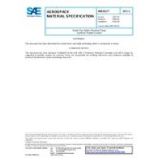 SAE AMS3815E SAE AMS3815E