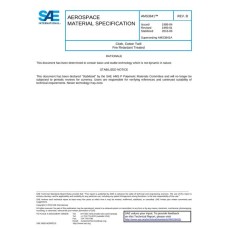SAE AMS3841B SAE AMS3841B
