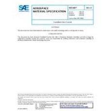 SAE AMS3880D SAE AMS3880D