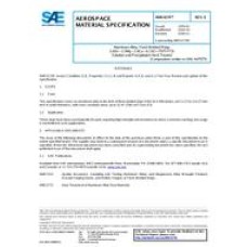 SAE AMS4174E SAE AMS4174E