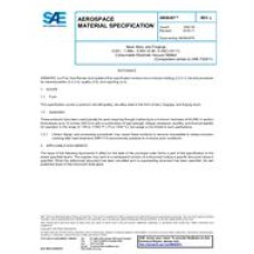 SAE AMS6487L SAE AMS6487L