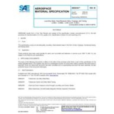 SAE AMS6304M SAE AMS6304M