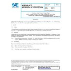 SAE AMS4313E SAE AMS4313E