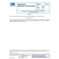 SAE AMS3895C