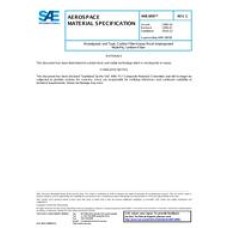 SAE AMS3895C