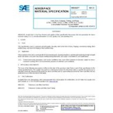 SAE AMS6525E SAE AMS6525E