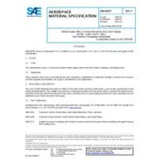 SAE AMS4676F SAE AMS4676F