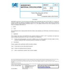 SAE AMS4910R SAE AMS4910R