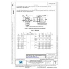 SAE AS34021E SAE AS34021E