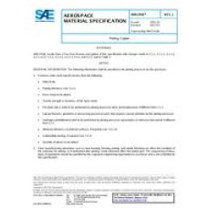 SAE AMS2418J SAE AMS2418J