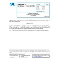 SAE AMS5624F SAE AMS5624F