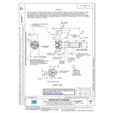 SAE AS3419C SAE AS3419C