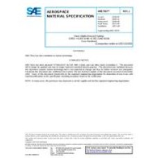 SAE AMS7301J SAE AMS7301J