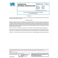 SAE AMSWWT700B