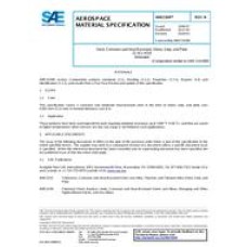 SAE AMS5504N