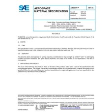 SAE AMS5876E SAE AMS5876E