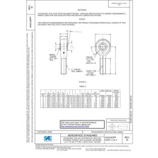 SAE AS21429B SAE AS21429B