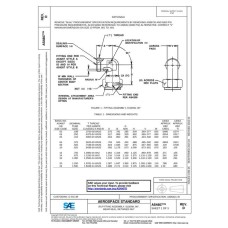 SAE AS4807D SAE AS4807D
