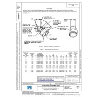SAE AS4808C